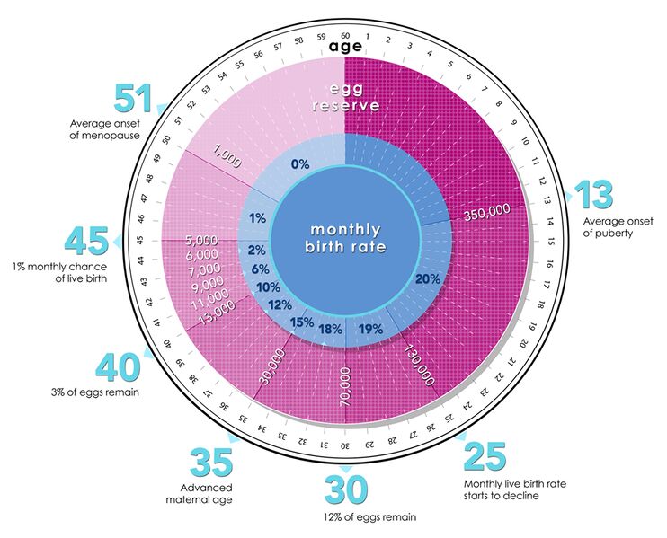 File:Egg Count.jpg